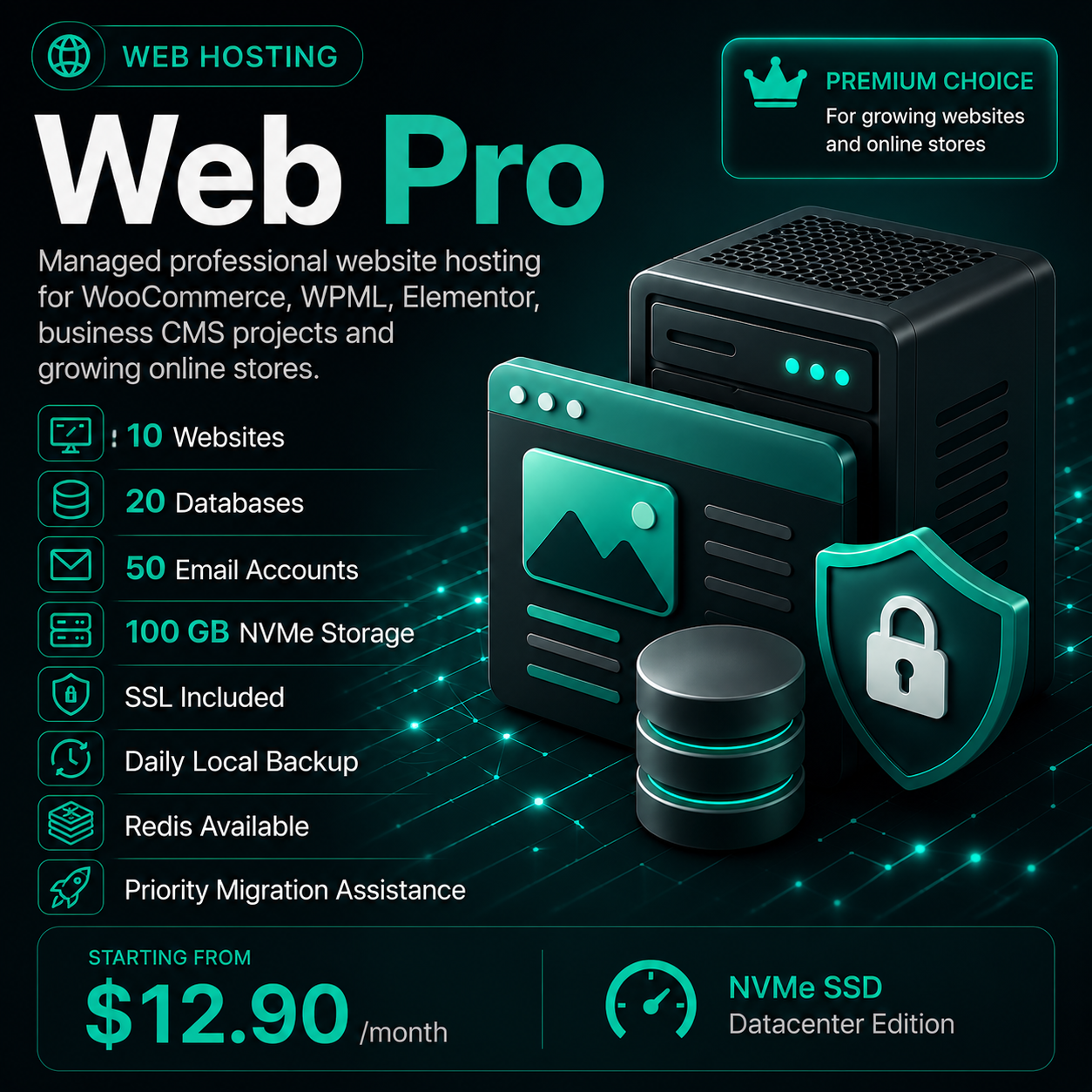 Web Pro